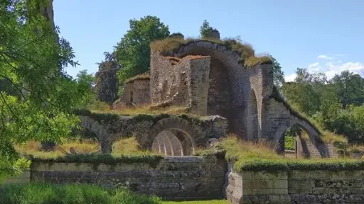 Eine Klosterruine in Schweden name unbekannt